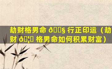 劫财格男命 🐧 行正印运（劫财 🦅 格男命如何积累财富）